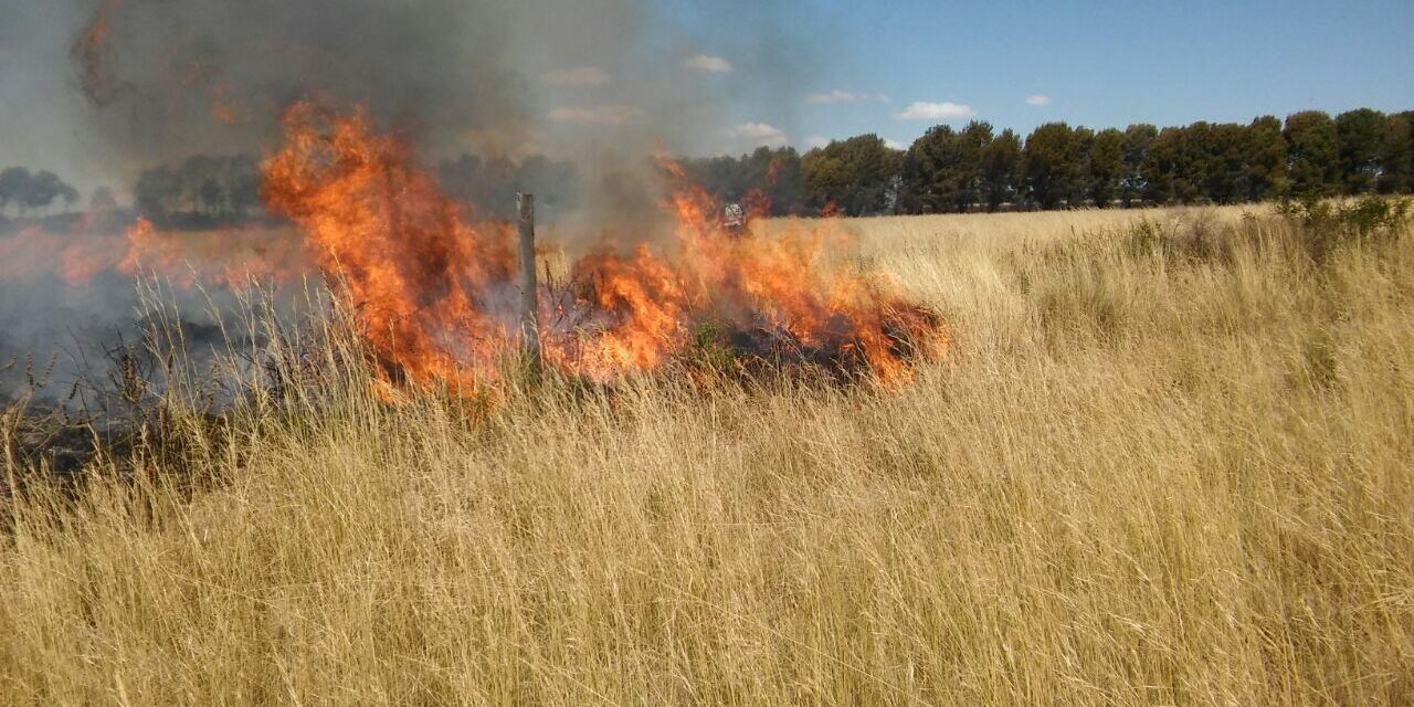 Platón Sánchez: Prevención de Incendios de Pastizales y Basureros