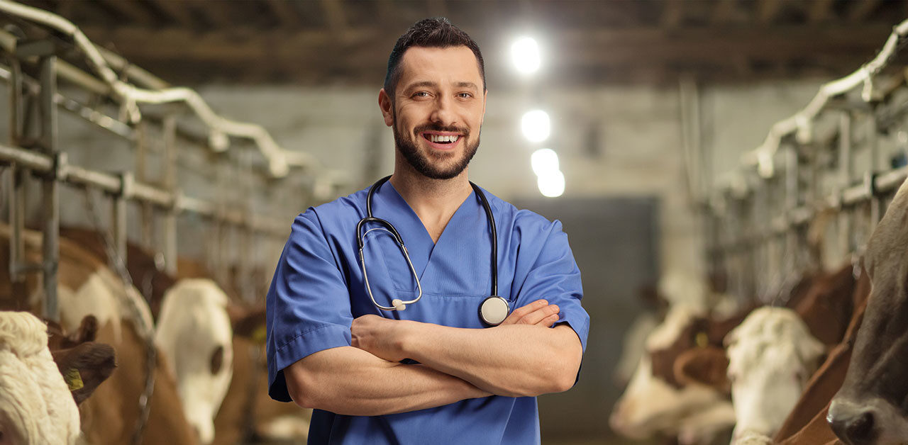 Día del Médico Veterinario Zootecnista Huayacocotla: Reconocimiento a los Profesionales del Cuidado Animal