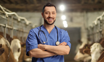 Día del Médico Veterinario Zootecnista Huayacocotla: Reconocimiento a los Profesionales del Cuidado Animal