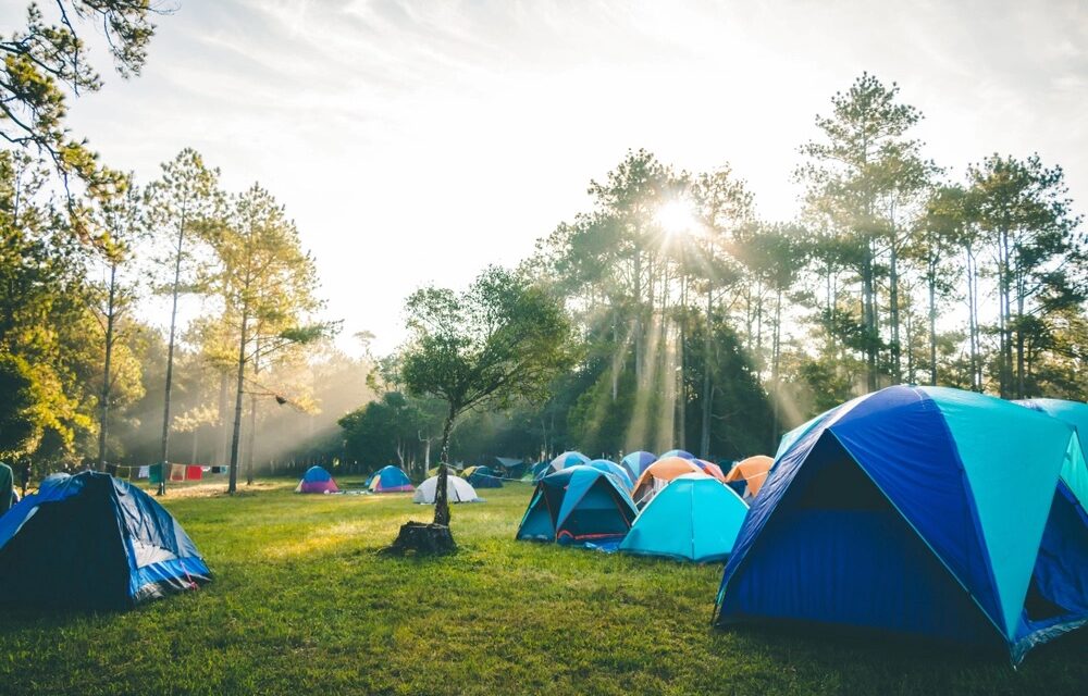 Álamo: Turi-Verano: Disfruta de un camping en confites lleno de aventuras