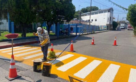 Acciones para Garantizar la Seguridad Escolar en Martínez de la Torre