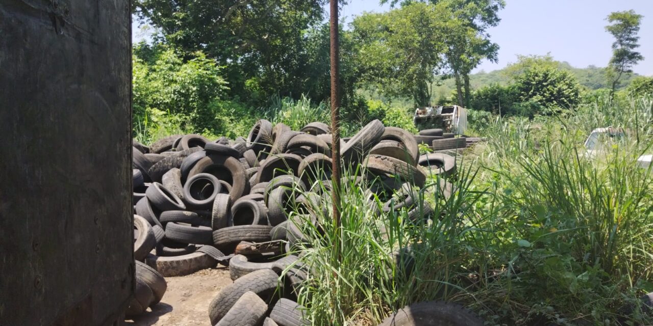 Coatzintla: Comparte regidora experiencia de reciclaje con autoridades de Tihuatlán