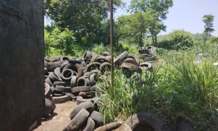 Coatzintla: Comparte regidora experiencia de reciclaje con autoridades de Tihuatlán