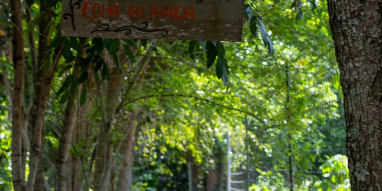 Chontla: Recorrido por instalaciones de Fundación Pedro y Elena Hernández «Reserva ecológica»