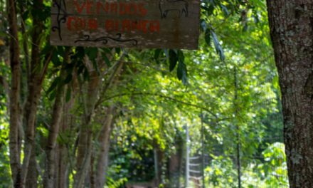 Chontla: Recorrido por instalaciones de Fundación Pedro y Elena Hernández «Reserva ecológica»