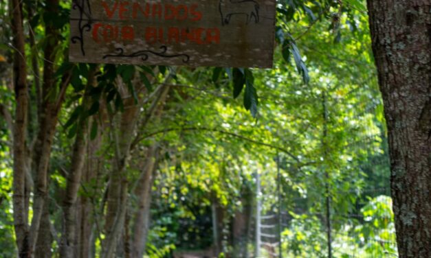 Chontla: Recorrido por instalaciones de Fundación Pedro y Elena Hernández «Reserva ecológica»