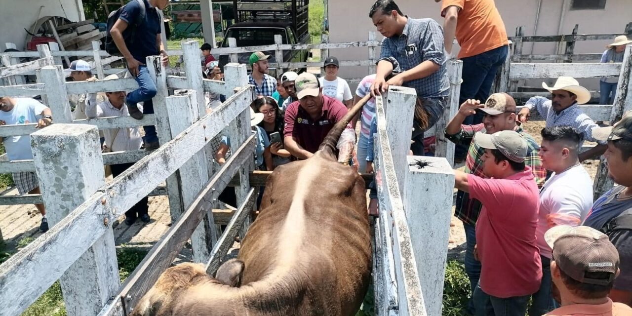 Éxito del Curso de «Inseminación Artificial en Bovinos» en Cerro Azul