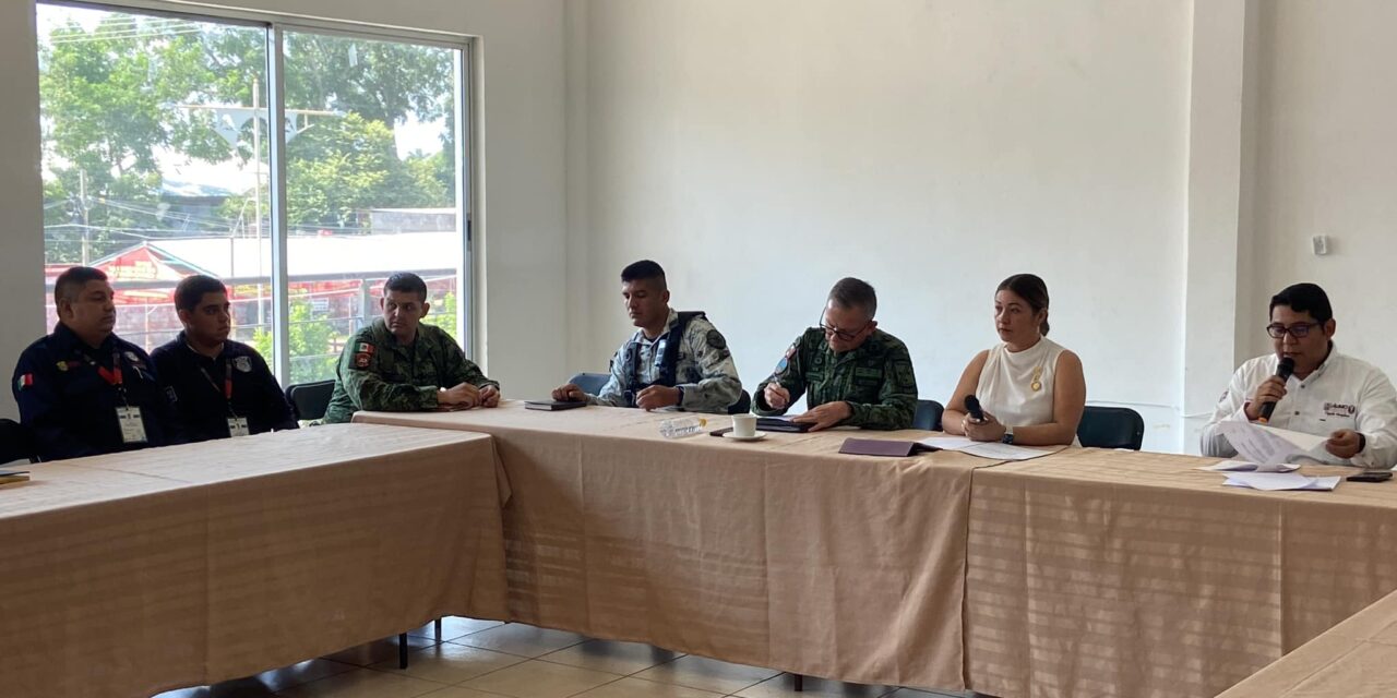 Álamo: Sesión Ordinaria del Consejo de Seguridad Pública y Comité de Participación Ciudadana