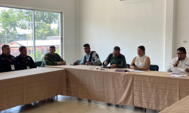 Álamo: Sesión Ordinaria del Consejo de Seguridad Pública y Comité de Participación Ciudadana