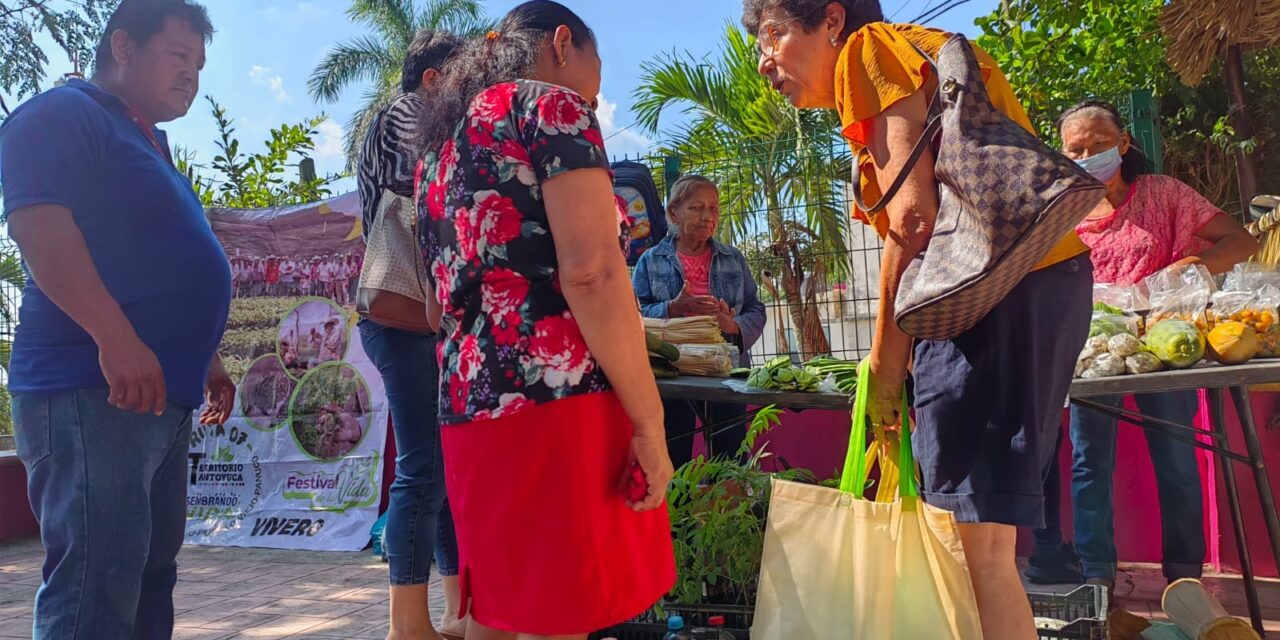 Tianguis Campesino en Ozuluama Promueve el Consumo Local