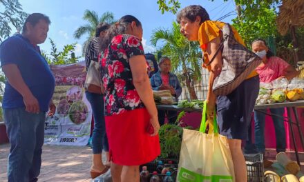 Tianguis Campesino en Ozuluama Promueve el Consumo Local