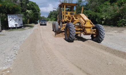 Avance de Obra en la Rehabilitación del Camino de El Porvenir a La Llave en Ozuluama