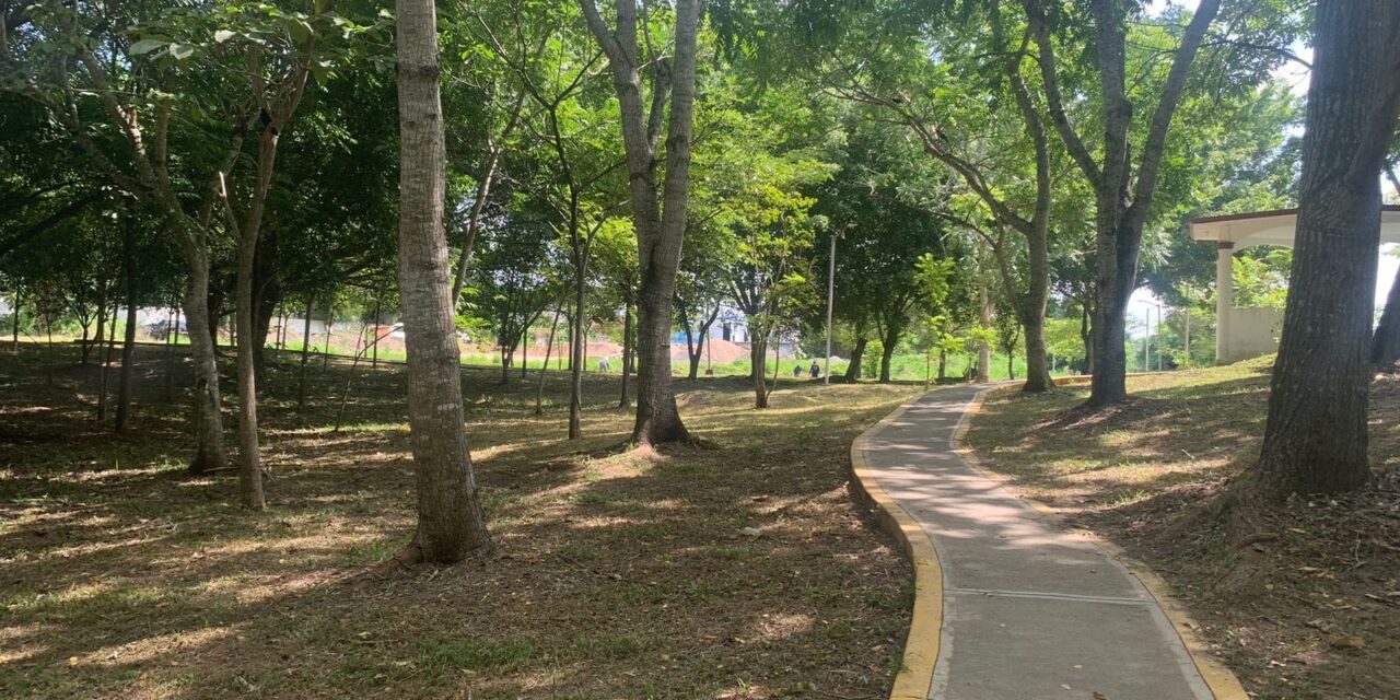 Martínez de la Torre: Mantenimiento en el Parque Ecológico a Cargo del Personal de Parques y Jardines