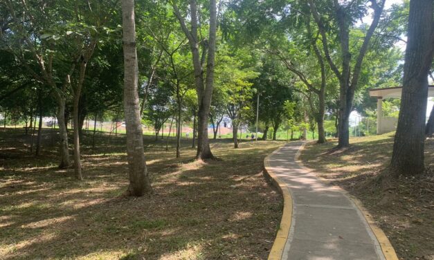 Martínez de la Torre: Mantenimiento en el Parque Ecológico a Cargo del Personal de Parques y Jardines