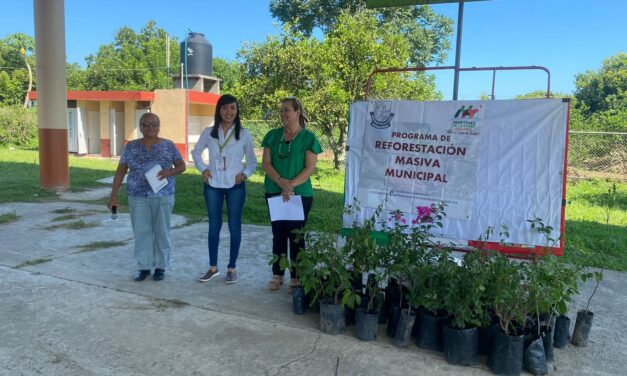 Martínez de la Torre: Reforestación Masiva en la Escuela Primaria Benito Juárez de Salvador Diaz Mirón