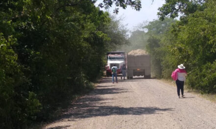 Ozuluama: Avance de Obra en la Rehabilitación del Camino de El Porvenir a La Llave