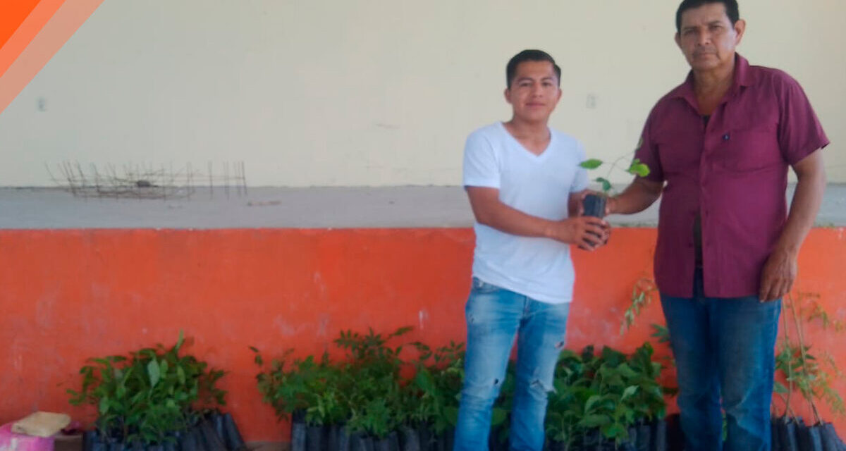 Tepetzintla: Donación de doscientas plantas