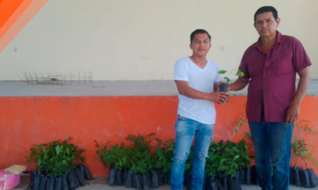 Tepetzintla: Donación de doscientas plantas