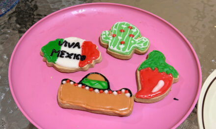 Adultos Mayores de Casa AMAKA Papantla Disfrutan de Actividades de Envejecimiento Activo