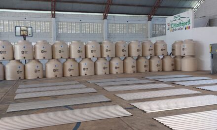 Entrega de Insumos del Programa «Desarrollo a la Vivienda y la Comunidad» en Citlaltépetl