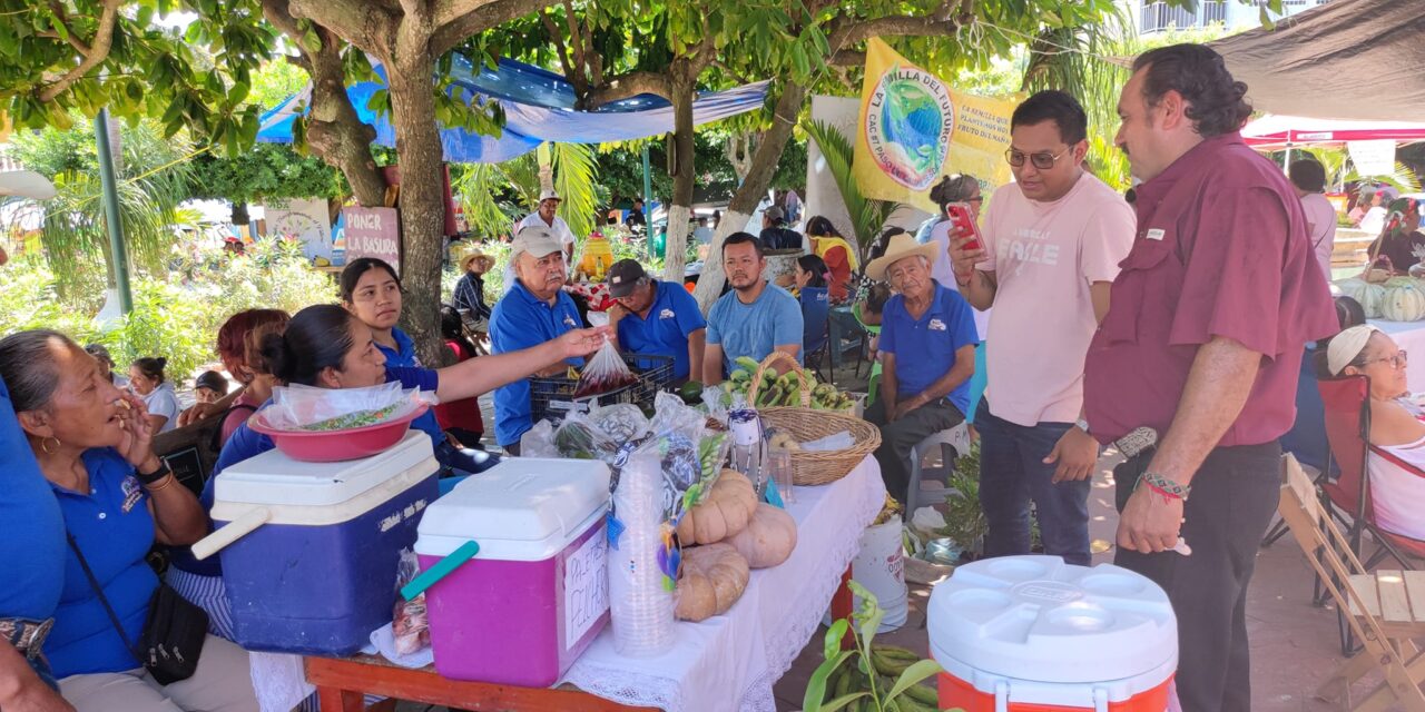 Cazones: Recorrido por el tianguis agrícola