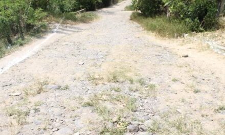 CHINAMPA DE GOROSTIZA: MAS DE UN MILLÓN DE PESOS PARA CONSTRUCCIÓN DE PAVIMENTO DE LA COLONIA SAN PEDRO