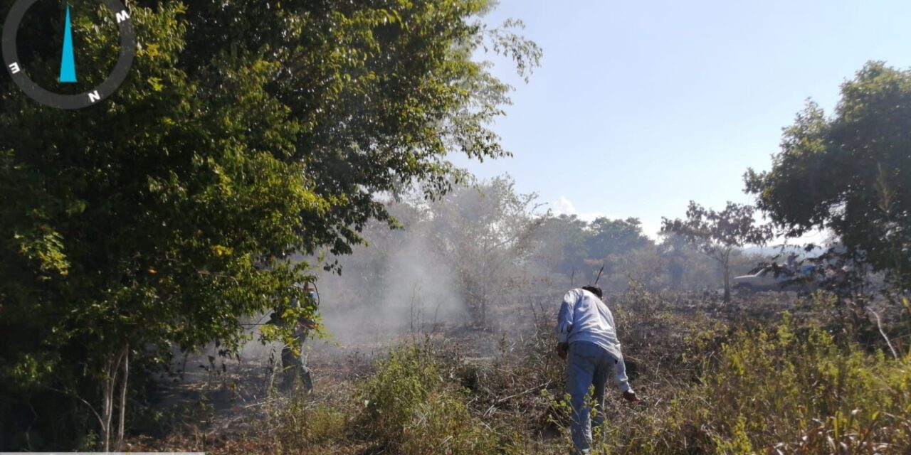 NAUTLA: SE COORDINAN PROTECCIÓN CIVIL, OFICIALÍA MAYOR, BRIGADISTAS, POLICÍA MUNICIPAL Y BOMBEROS DE VEGA DE ALATORRE PARA ATENDER INCENDIO EN LOS EJIDOS DE EMILIANO ZAPATA Y CAMINO REAL