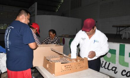 Entrega de Pollitos de Engorda y Pollitas Ponedoras en Citlaltépetl