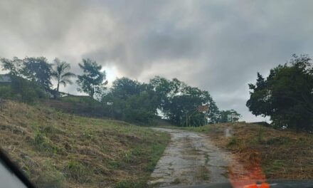 Personal de la Escuela Primaria «Ignacio de la Llave» Agradece el Apoyo del Ayuntamiento de Coatzintla en la Limpieza de sus Instalaciones