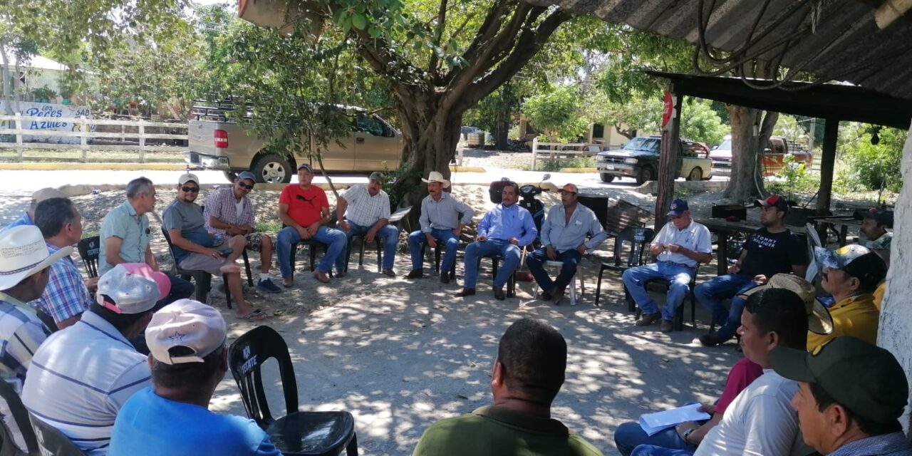 Ozuluama: Reunión de Trabajo para Impulsar la Producción Agrícola en la Brecha Huasteca Veracruzana e Isla Juan A. Ramírez