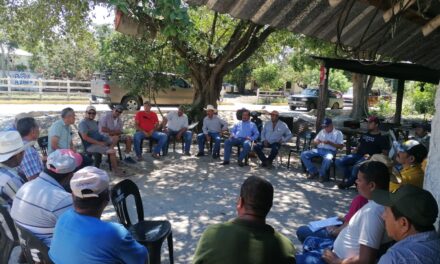 Ozuluama: Reunión de Trabajo para Impulsar la Producción Agrícola en la Brecha Huasteca Veracruzana e Isla Juan A. Ramírez