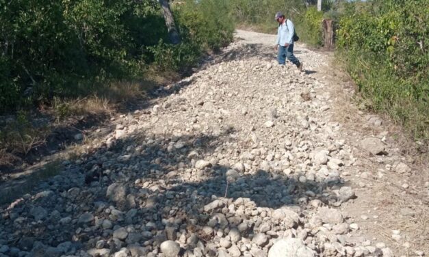 Rehabilitación del Camino de Conexión entre Comunidades en Ozuluama