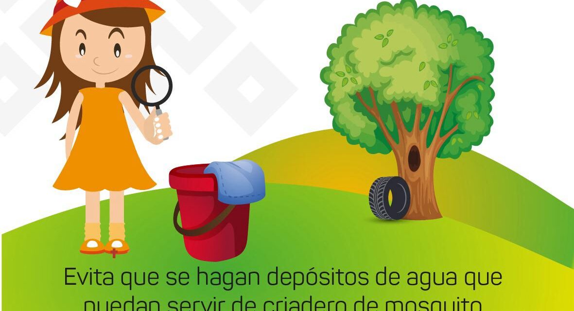 Tuxpan: Se realizará campaña de limpieza para prevenir el dengue