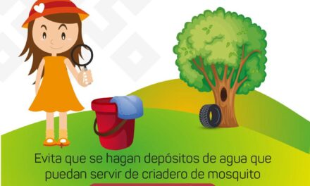 Tuxpan: Se realizará campaña de limpieza para prevenir el dengue