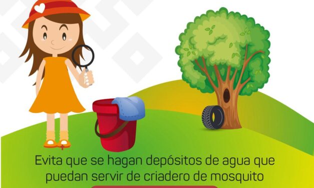 Tuxpan: Se realizará campaña de limpieza para prevenir el dengue