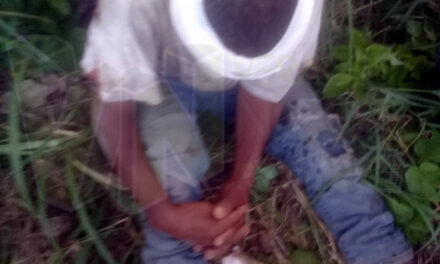 Vecino de Pueblo Nuevo Atropellado y Abandonado en Álamo, Veracruz