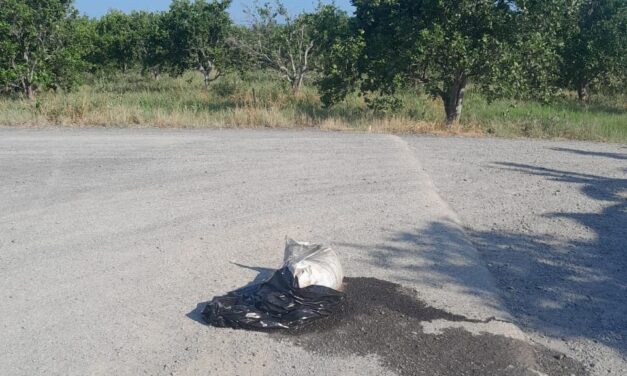 Álamo: Abandonan Bolsa que Desprende Olores Fétidos en Carretera, Temor a Posibles Restos Humanos
