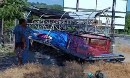 Por un «pelímetro»: Estudiantes del Tec de Álamo se salvan milagrosamente de una tragedia