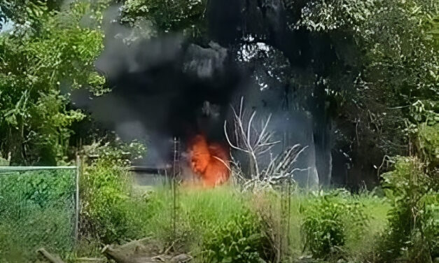 Incendio de Neumáticos en La Unión, Álamo: Bomberos Actúan Rápidamente