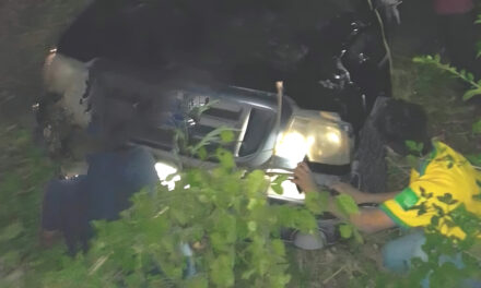 Camioneta Termina Proyectada Fuera de la Carretera en Álamo, Veracruz