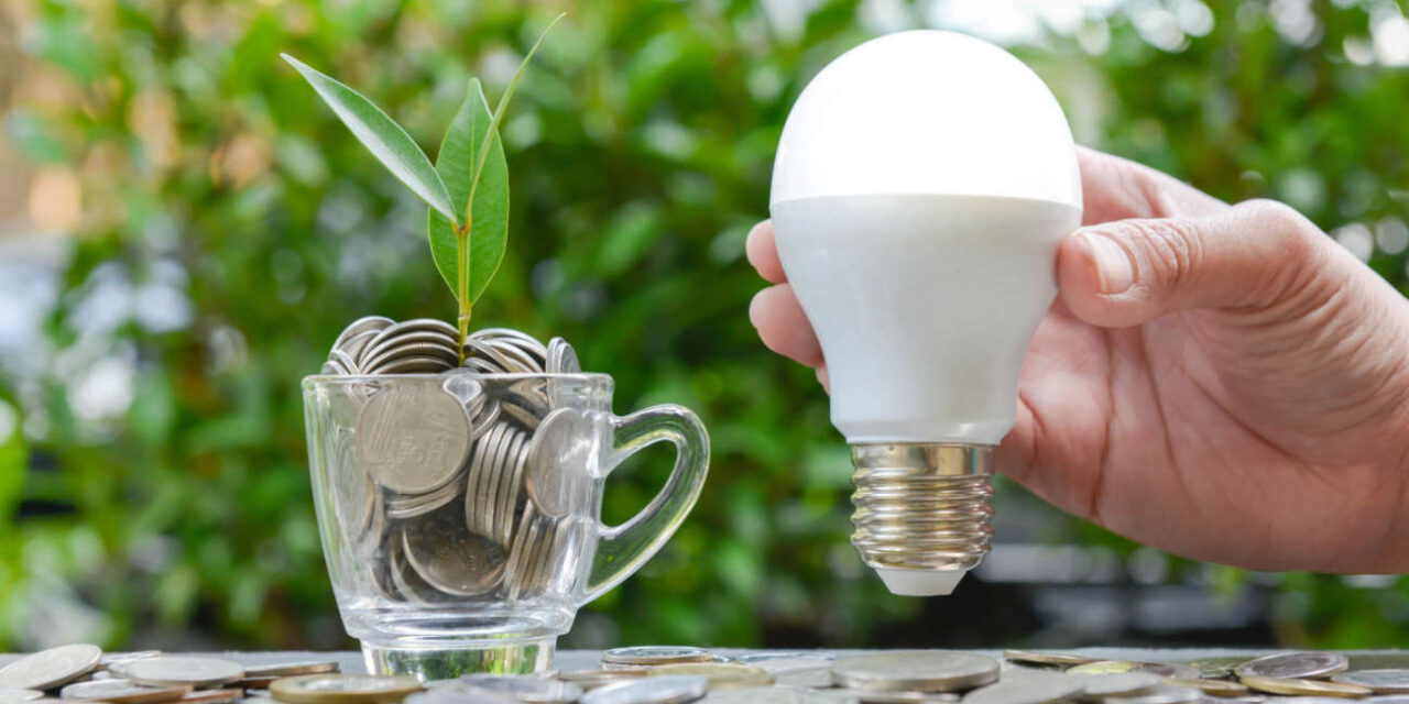 Ozuluama: Distribución de Paquetes de Focos LED de 10W para Ahorro de Energía