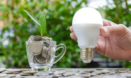 Ozuluama: Distribución de Paquetes de Focos LED de 10W para Ahorro de Energía