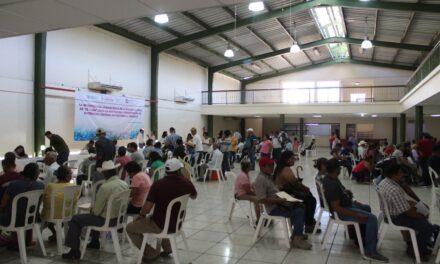 Coatzintla: Renovación de Tarjetas para Sujetos de Derecho del Grupo de Sembradores en Coatzintla