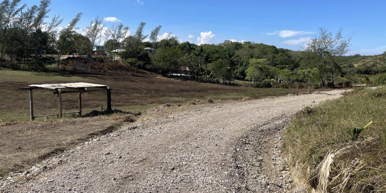 Inauguración del Camino de Los Zavales a La Mina: Un Paso Importante para el Desarrollo de Ozuluama de Mascareñas