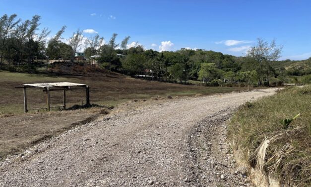Inauguración del Camino de Los Zavales a La Mina: Un Paso Importante para el Desarrollo de Ozuluama de Mascareñas