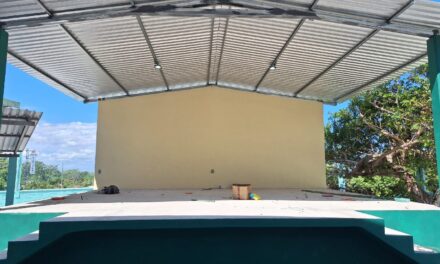 Ozuluama: Rehabilitación del Alumbrado Público en la Escuela Primaria Lic. Benito Juárez García