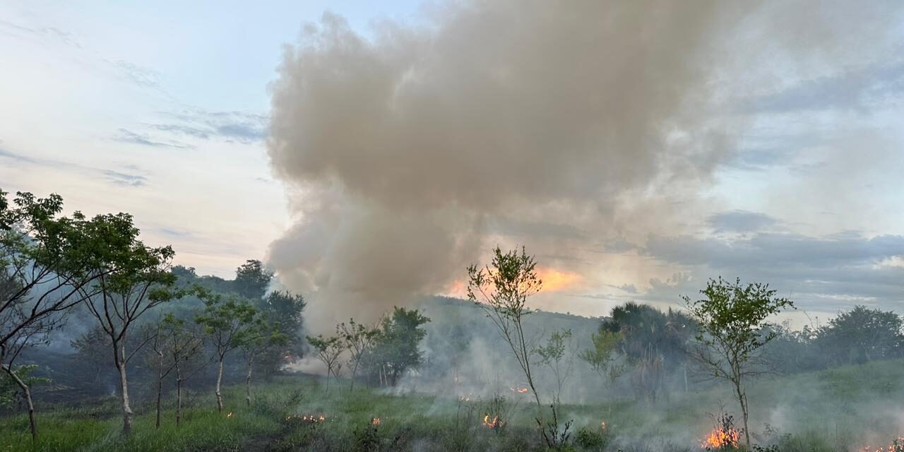 Papantla: Intervención Eficaz de Protección Civil Municipal en la Extinción de Incendio en Colonia México