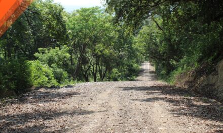 «El Gobierno Municipal de Tepetzintla Culmina con Éxito la Rehabilitación del Camino Tecomate – La Peña»