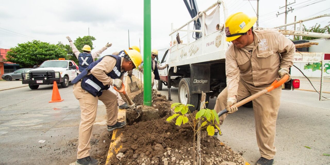 Poza Rica: “Avance Destacado en la Iluminación de la Carretera Poza Rica-Coatzintla para Mayor Seguridad y Embellecimiento»