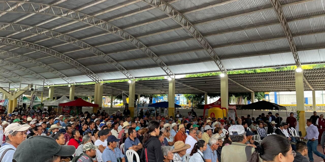 PAPANTLA: SE REALIZA EL FORO REGIONAL CITRÍCOLA